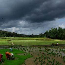 India's 2026 Monsoon Forecast: What It Means for Prices, Farming, and Daily Life featured image